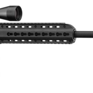 PACK Carabine Pallas silence  BA-15  BLACK Cal 22LR